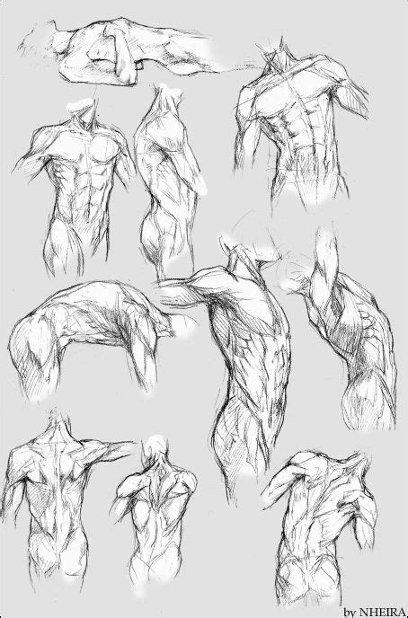 Anime manga male body anatomy tutorials references in arm drawing reference 5. character-male-anatomy66