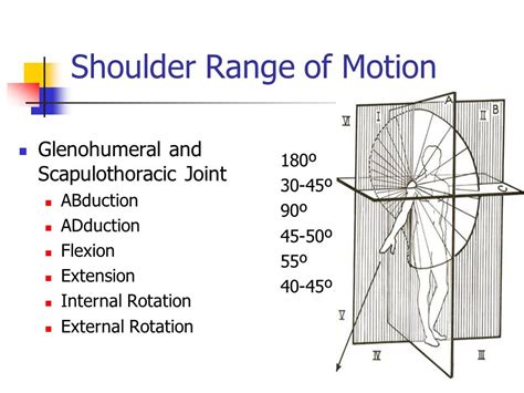 Stretching helps increase range of motion. Atlas Shrugs or Removing the Chip on Your Shoulder ...