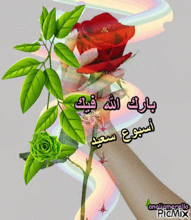 #صباح النور #صباح الورد #صباح الحب #صباح الخير #صباحكم سعادة #صباح الرضا #يسعد صباحكم #صباح الأمل #صباحات #رسالة صباحية. صباح النور ** صباح الورد والياسمين ، - PicMix