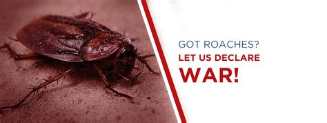 So.pest control can work but it is not a magic wand. Carroll County MD Exterminator | Pest Control & Termite ...