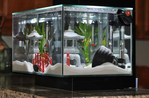 Some of the best unique fish tank decorations for the money 2020. Question - Does anyone have a Fluval Edge Aquarium? | Fish tank decorations, Unique fish tanks