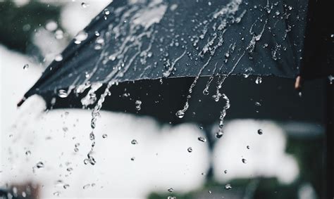 En este artículo, conocerás mas sobre su hoy te contaremos todo sobre la lluvia, qué es exactamente, cómo se forma, los diferentes. La lluvia en la orilla /La pioggia sulla riva | www ...