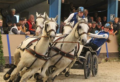 Maybe you would like to learn more about one of these? Kleurplaat Paarden Springen / Paarden Kleurplaten ...