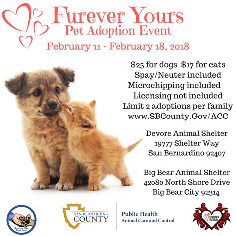 Dumb friends league is an animal shelter in colorado that rescues animals & offers pet adoption, veterinary services & more. Furever Yours Pet Adoption Event Department of Public Health