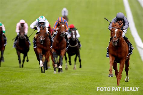 The 2020 epsom derby was the 241st annual running of the derby horse race and took place at epsom downs racecourse on 4 july 2020. SERPENTINE SORPRESIVO E INOBJETABLE GANADOR DEL EPSOM ...