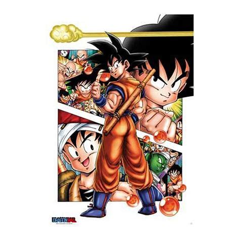 Sin saber nada de su pasado. Dragonball Poster Son Goku Story, 61x 91,5cm
