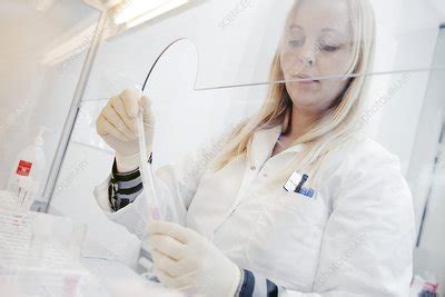 I researched 2 or 3 other banks in california and we have two wonderful children using the sperm bank of california who are healthy and happy. Sperm bank - Stock Image - C015/2110 - Science Photo Library