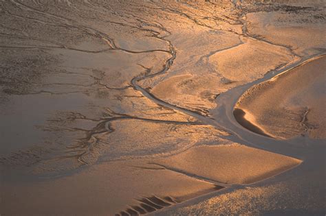 Ontdek de nederlandse waddeneilanden en de waddenzee. Waddenzee | Stichting Werelderfgoed Nederland