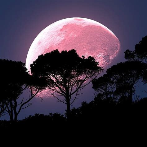 Images de la super lune rose, plus grosse pleine lune de l'année 2020, vue depuis donja la super lune rose du 8 avril 2020 est une lune de manifestation. LA PLEINE LUNE ROSE DU 9 JUIN 2017 | Pleine lune, Lune ...