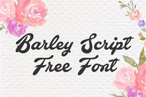 Barley script supports up to 80 different languages such as spanish, english, portuguese, german, french, turkish, italian, polish, kurdish (latin), dutch. DLOLLEYS HELP: Barley Script Free Font