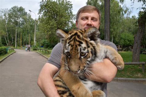 Рівненський зоологічний парк загальнодержавного значення унікальний куточок природи на околиці міста, де можна відпочити всією сім'єю. У Рівненський зоопарк передали маленьку тигрицю (ФОТО)