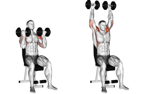 Standart dumbbell shoulder press egzersizi sadece lateral. The Arnold Press: A Unique Shoulder Builder With A Twist