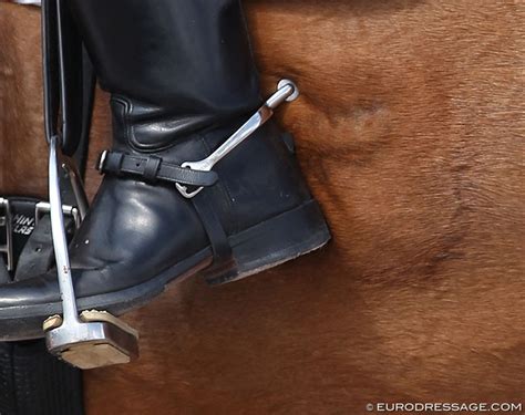 Old time western spur straps with spots. Functionality in Equitation: Skin Damage from Leg Aids