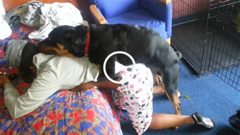 Check spelling or type a new query. my friend wants to be humped by a dog | NEW HAPPy