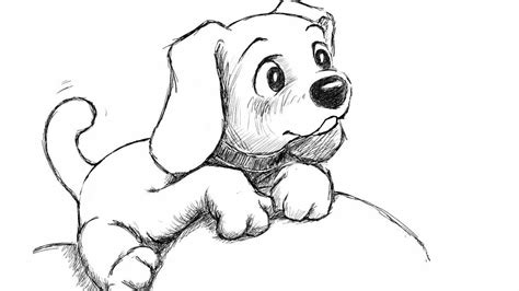 Lets draw a realistic dog. How to draw puppy step by step for beginners and kids step ...