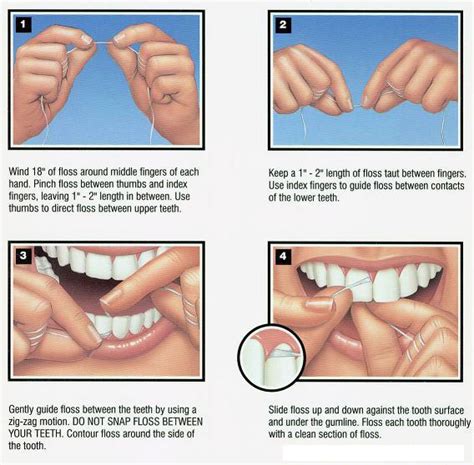 Agar dapat membersihkan gigi secara menyeluruh 1. Tips : Cara Berus Gigi & Floss Yang Betul ~ Zue ...