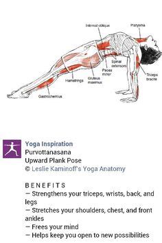 Back muscle endurance, and pain levels. yoga charts and illustrations on Pinterest | Asana, Yoga ...