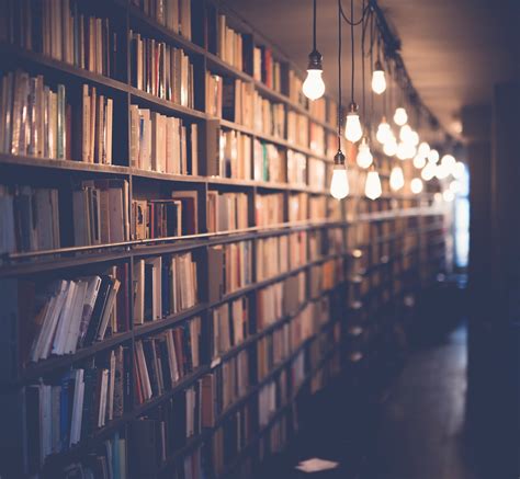 كتاب معالم تاريخ المغرب والأندلس للكاتب الدكتور حسين مؤنس ...