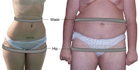 Find out what is the full meaning of waist on abbreviations.com! Bukfetma - Wikipedia