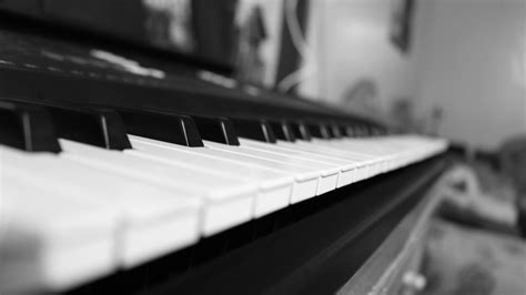 'joy' may not have the amazing brand reputation as some of the other manufactures on this list. 10 Best Keyboard Pianos for Beginners (2021Reviews)