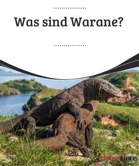 «manchester united est l'un des clubs les plus prestigieux du monde et il aurait été inconcevable de refuser l'opportunité de venir ici pour jouer en premier league». Warane - Was sind Warane? - My Animals - Wildtiere | Tiere ...