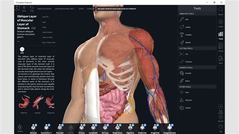 Primal pictures, visible body) as well as more detail in its models. Complete Anatomy Platform 2020 iPhone App Review