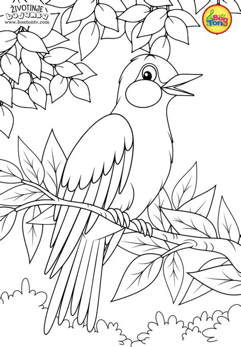 There are also some more intricate designs for adults, perfect for when you want to take a moment of calm for yourself and escape the chaos of the summer vacation! Animals Coloring Pages for Kids - Free Preschool ...