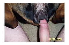 man zoophile his pleases doggy nastiest lovely way zoo tube ago years