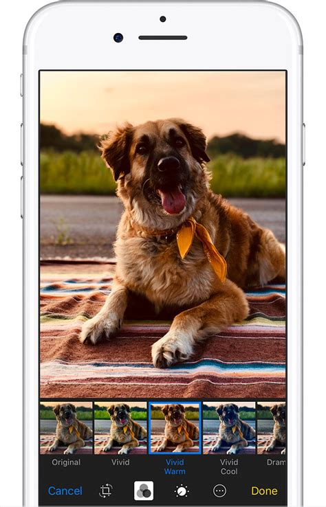 Here is a guide on how to use filters on iphone photos. Take and edit photos with your iPhone, iPad, and iPod ...