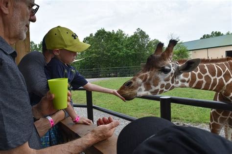 Bring a picnic lunch to enjoy by our spring fed pond! Safari Niagara (Stevensville) - All You Need to Know ...