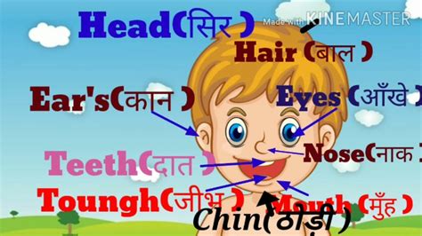 There is a whole wealth of words used to refer to the body parts in english and in this section, you will be learning how to refer to each body part. Body parts for kids | Parts of the body in Hindi | शरीर के अंगों के नाम | Body parts in English ...