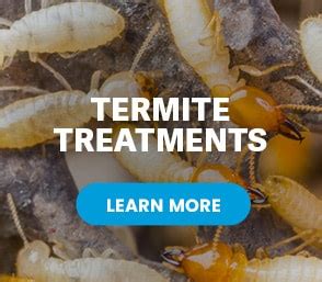 Action termite and pest control based in toms river, new jersey with offices in red bank, nj and south toms river pest control is important. Termite Control and Extermination Services by JD Smith of ...