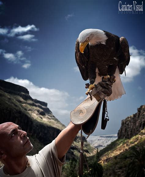 Maybe you would like to learn more about one of these? Miradas Foto tomada durante la exhibición de aves rapaces ...