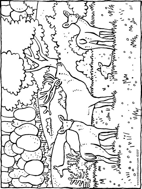 Regenboog kleurplaten 567 x 794 jpg pixel. herten in het bos - kiddicolour