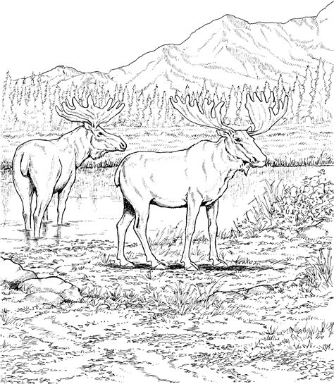 More 100 coloring pages from interesting coloring pages category. Rocky Mountains Coloring Page - Coloring Home