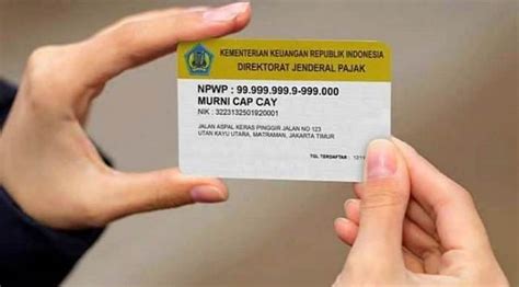 Perbedaan npwp pusat & cabang dari fisiknya. Status Npwp Ne Artinya - Npwp Pusat Dan Cabang Apa Sih ...