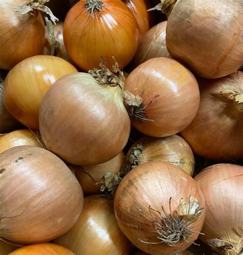 Onions (Loose)