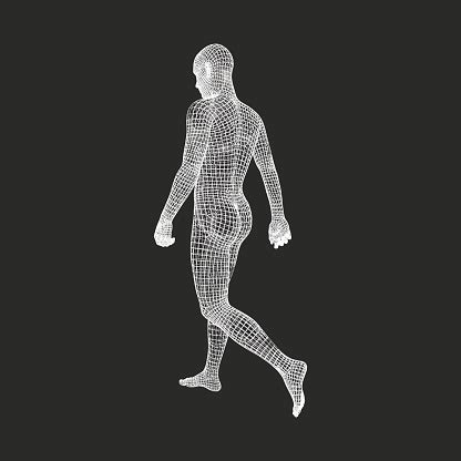 Blender + c4d lwo lxo max ma xsi 3ds dae dxf fbx obj x. Walking Man 3d Human Body Model Geometric Design Human ...