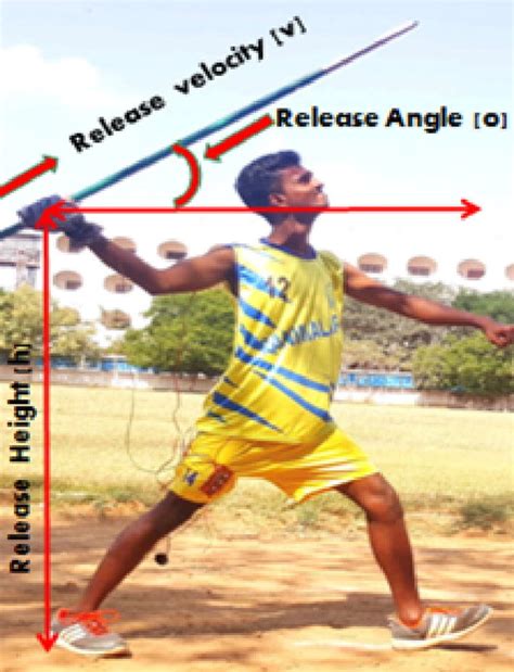 The javelin is one fixed piece of equipment made up of three parts, the shaft, head and grip. Model diagram of javelin throws which shows the release ...
