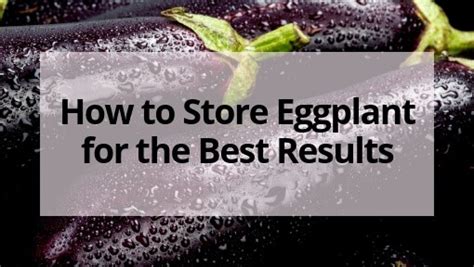 Paperless workflow · money back guarantee · fast, easy & secure How to Store Eggplant Correctly for the Best Results