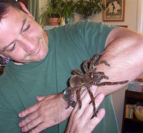 They typically will consume all types of insects. Goliath Bird Eating Spider - WeNeedFun