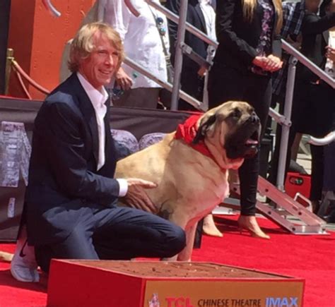 Physically speaking, they behave like bay leaves when cooked (they stay hard even when boiled for along time in a stew). Michael Bay Leaves Imprints At TCL Chinese Theatre ...