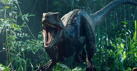 Dominion movie release date, trailer news, images and online forum providing jurassic park fans with the latest info on the jurassic world films. Jurassic World 3 : les dinos au Pôle Nord ? | Premiere.fr