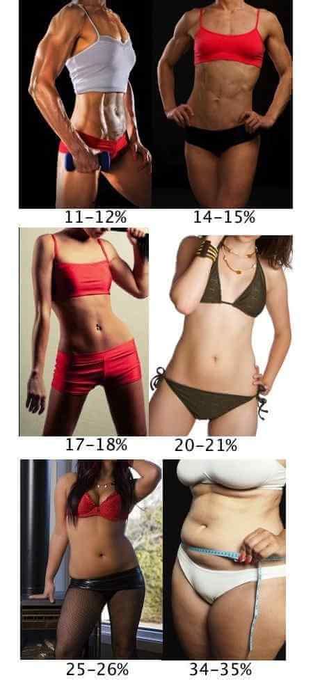 15.5 the number below the bar is the denominator: How To Accurately Calculate Your Body Fat Percentage ...