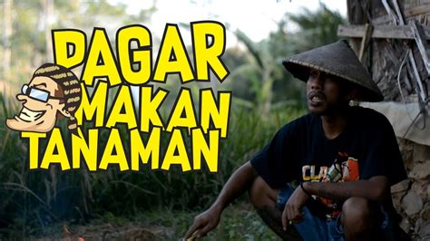 Ketik set 53083400 krim ke 808 xl : Pagar Makan Tanaman - Film Komedi Cah Pati - YouTube