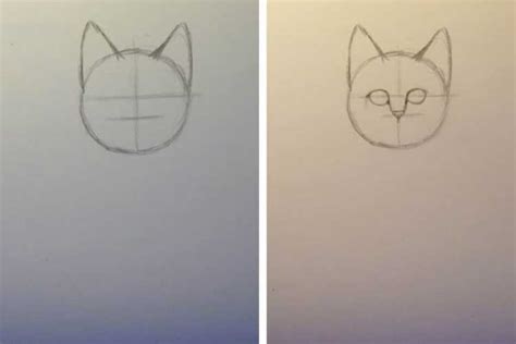 Draw the cat's face in a typical anime style with bigger than normal eyes and smaller nose and mouth. How to Draw a Cat: Front View, Sitting Front View and Side ...