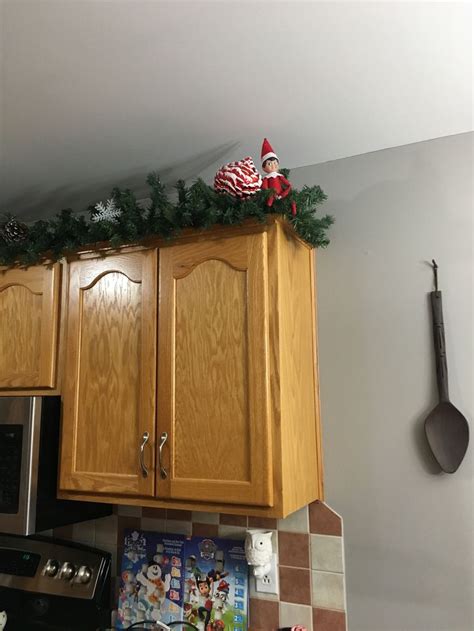 We have 1023 homeowner reviews of top garland cabinet contractors. Jolly sitting in the garland on top of the cupboard | Home decor, Decor, Kitchen cabinets