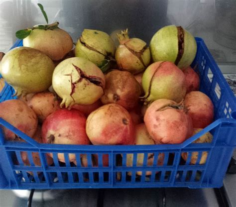 Scopriamo insieme quali sono le più golose! Confettura di melograni, ricetta con foto | Dal dolce al ...