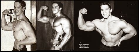 Unranked in his first mr. worldwidemodel bodybuilders: Arnold Schwarzenegger ...