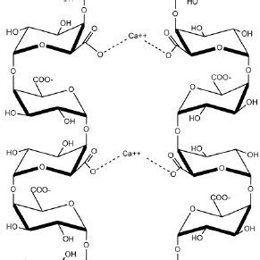 Check spelling or type a new query. Structure of Rhamnogalacturonan II. The backbone of RG-II ...